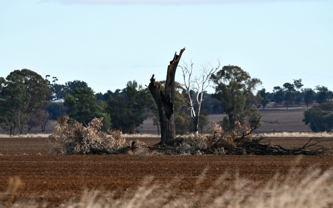 RGA (Ricegrowers) Landcare